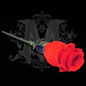 La Rosa de Bond Lee y Wenzi Magic