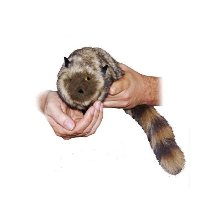 The Raccoon Sintético - Imagen 2