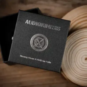 Audiokinesis One Dóllar de Hoang Doan Minh y Artisan Coin