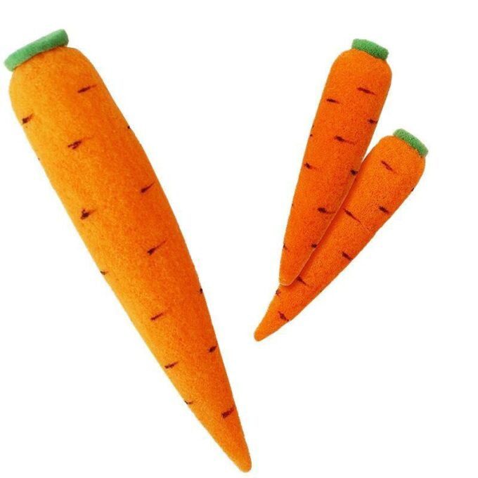 Multiplicación de Zanahorias de Esponja