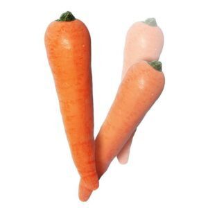 Multiplicación de Zanahorias Latex