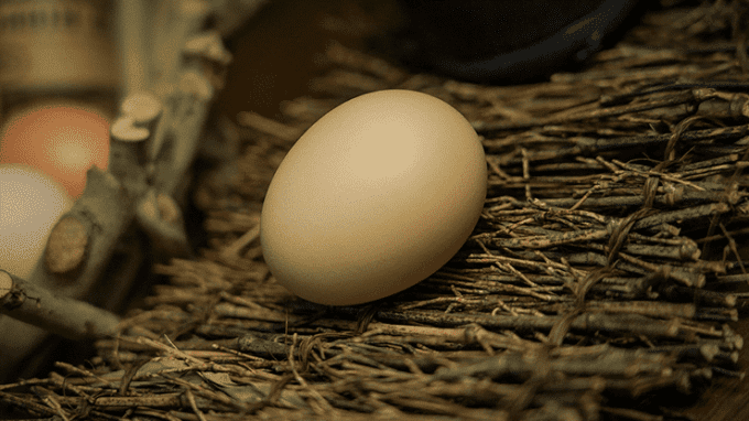 The Egg (Pañuelo al huevo) by TCC - Nuevo en Wonderland - Imagen 6