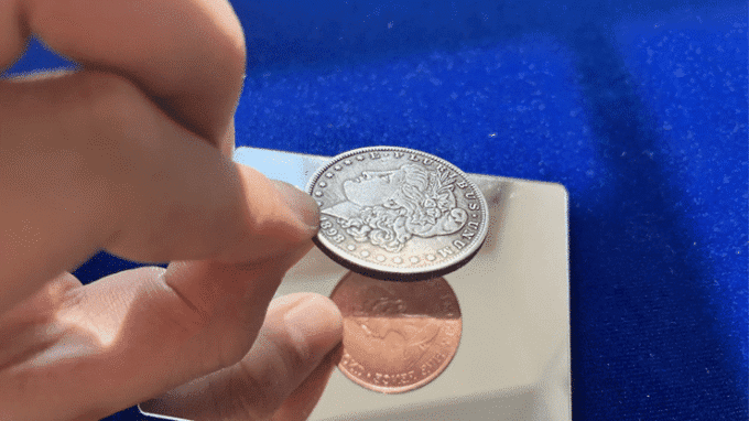 Plata Cobre Morgan de N2G Superior