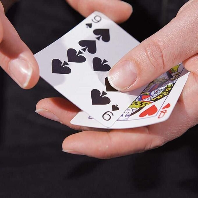Wild Card Calidad Bicycle - Imagen 3