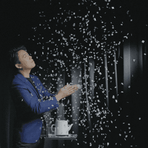 Snowflake SG de Bond Lee